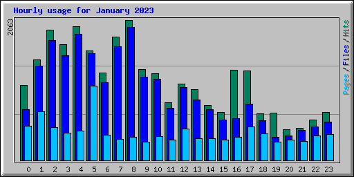 Hourly usage for January 2023