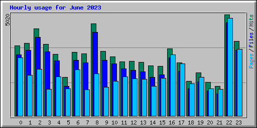 Hourly usage for June 2023