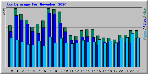Hourly usage for November 2024